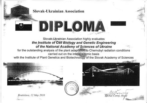 File:Подяка - ІКБГІ - for the outstanding analysis of the plant adaptation Chernobyl radiation conditions (2010).jpg