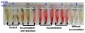 Thumbnail for version as of 12:39, 9 March 2015