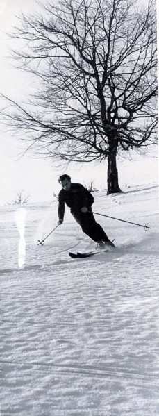 File:Szikura Pliska sizes 1957.JPG