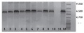 Thumbnail for version as of 16:16, 29 September 2015
