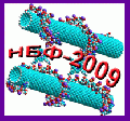 НАНОБІОФІЗИКА-2009 (Конференція).gif