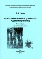 Сікура Genus Eremurus Liliaceae Рід Еремур Лілійні.jpg