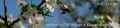 Thumbnail for version as of 11:40, 27 April 2011