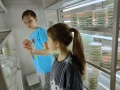 Thumbnail for version as of 17:08, 31 May 2024