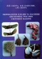 Сікура Капустян Сікура Морфологія плодів та насіння... Книга 1.jpg