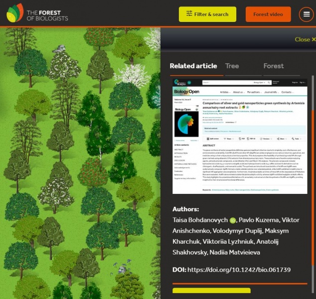 File:2025 Taisa`s Bohdanovych tree at the Young People's Forest.JPG