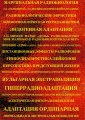 Thumbnail for version as of 12:19, 9 August 2021
